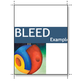 Bleed Example